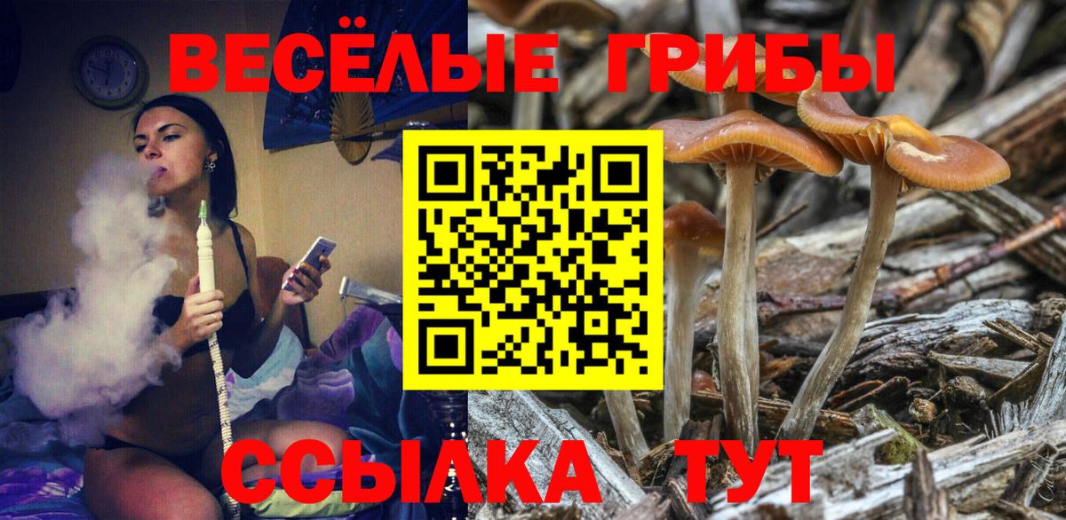 Кимры  Галлюциногенные грибы Psilocybine cubensis  Вход с VPN 