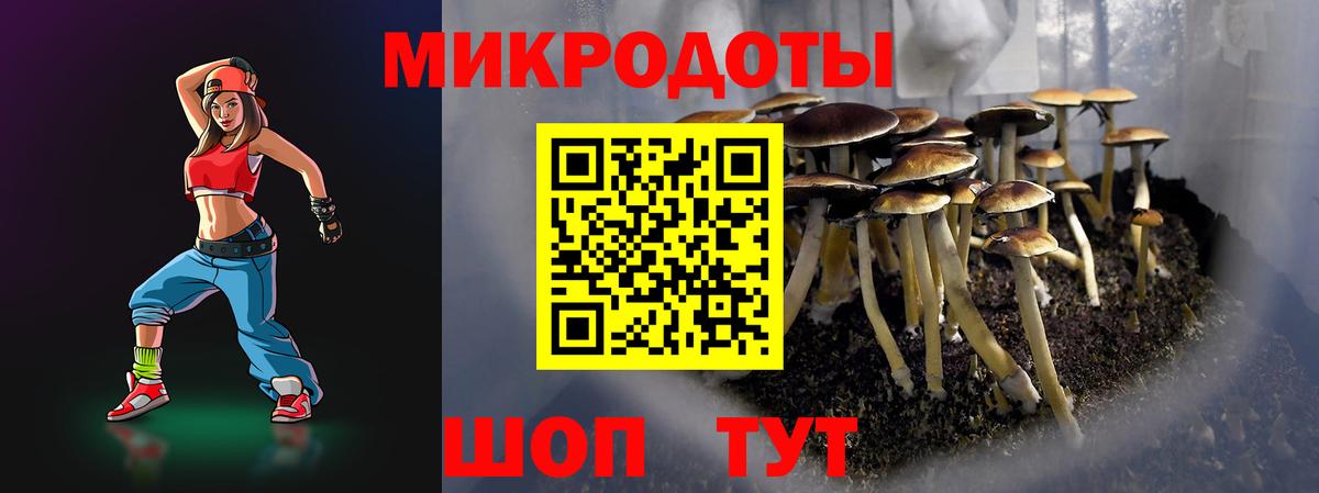 Псилоцибиновые грибы Psilocybine cubensis Кимры